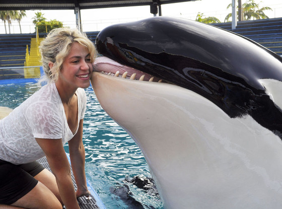 Shakira Shakira